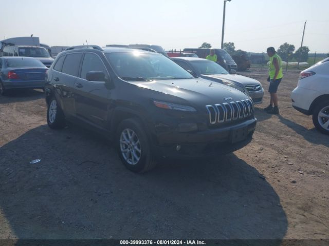 JEEP CHEROKEE 2016 1c4pjmcb7gw202843