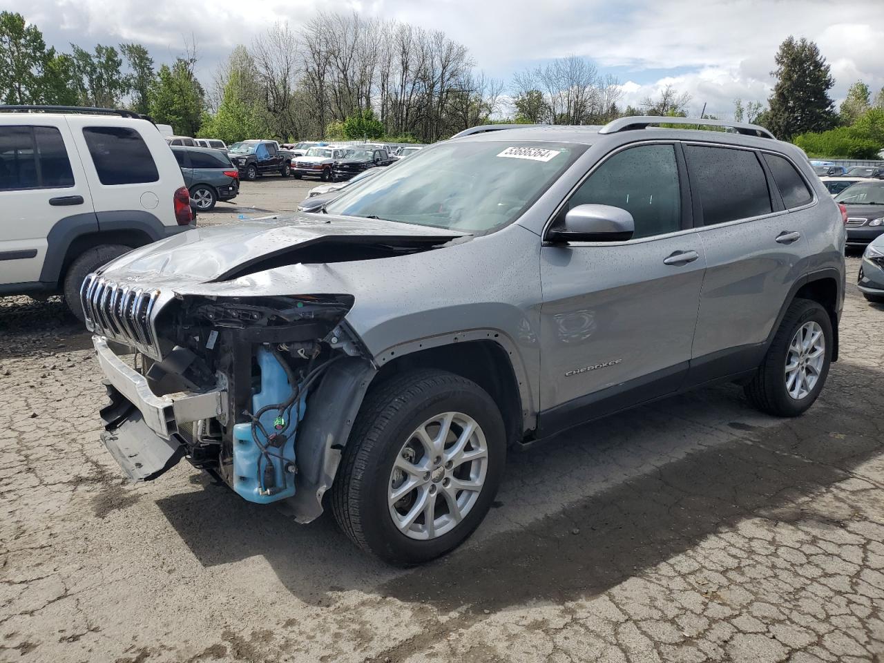 JEEP GRAND CHEROKEE 2017 1c4pjmcb7hw639534