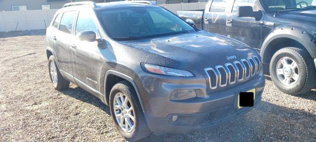 JEEP CHEROKEE L 2014 1c4pjmcb8ew147624