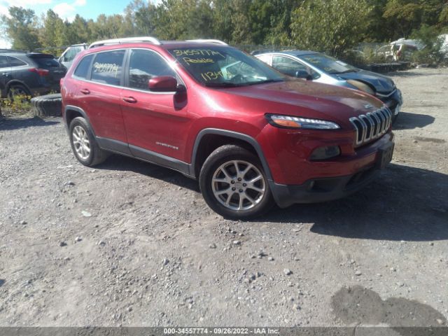 JEEP CHEROKEE 2014 1c4pjmcb8ew156033