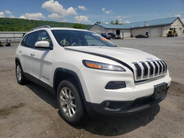 JEEP CHEROKEE 2016 1c4pjmcb8gw259665