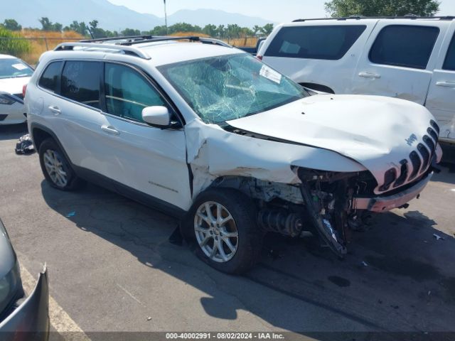 JEEP CHEROKEE 2015 1c4pjmcb9fw691468