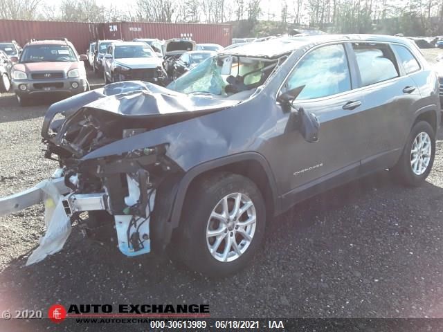 JEEP CHEROKEE 2014 1c4pjmcbxew138682