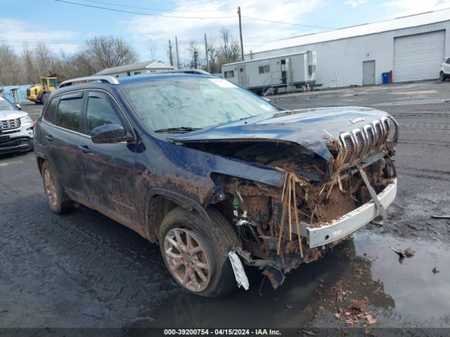 JEEP CHEROKEE 2016 1c4pjmcbxgw251857