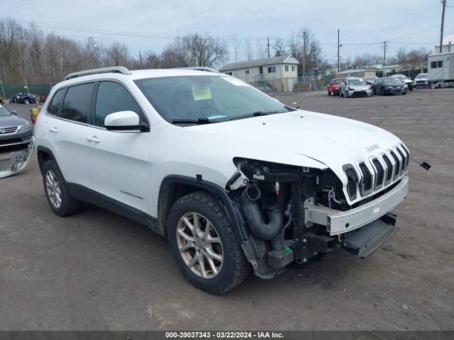 JEEP CHEROKEE 2014 1c4pjmcs2ew124954