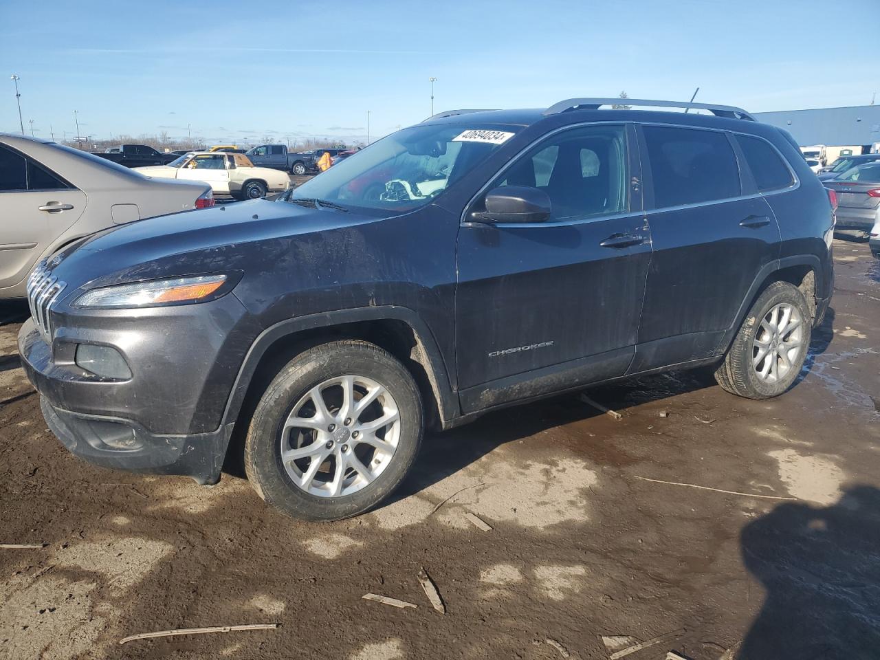 JEEP GRAND CHEROKEE 2014 1c4pjmcs4ew198411