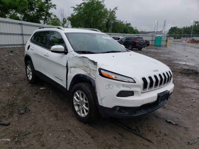 JEEP CHEROKEE L 2014 1c4pjmcs5ew114399