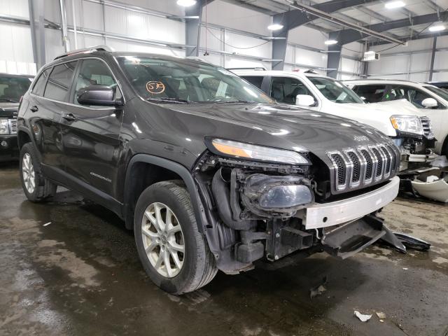 JEEP CHEROKEE L 2014 1c4pjmcs6ew311288