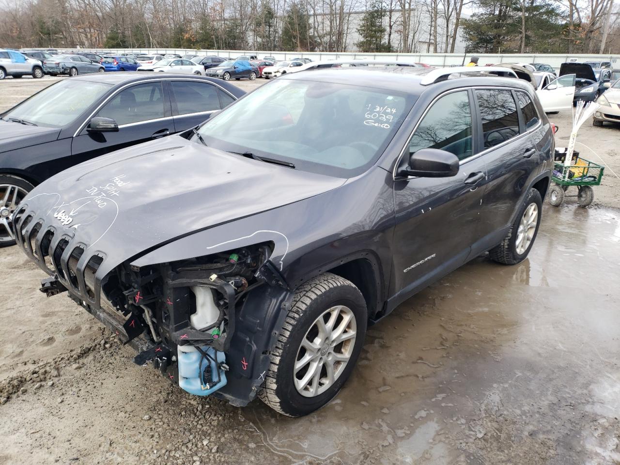 JEEP GRAND CHEROKEE 2017 1c4pjmcs6hw596689