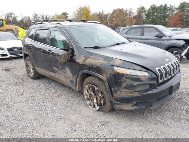 JEEP CHEROKEE 2015 1c4pjmcs8fw513664