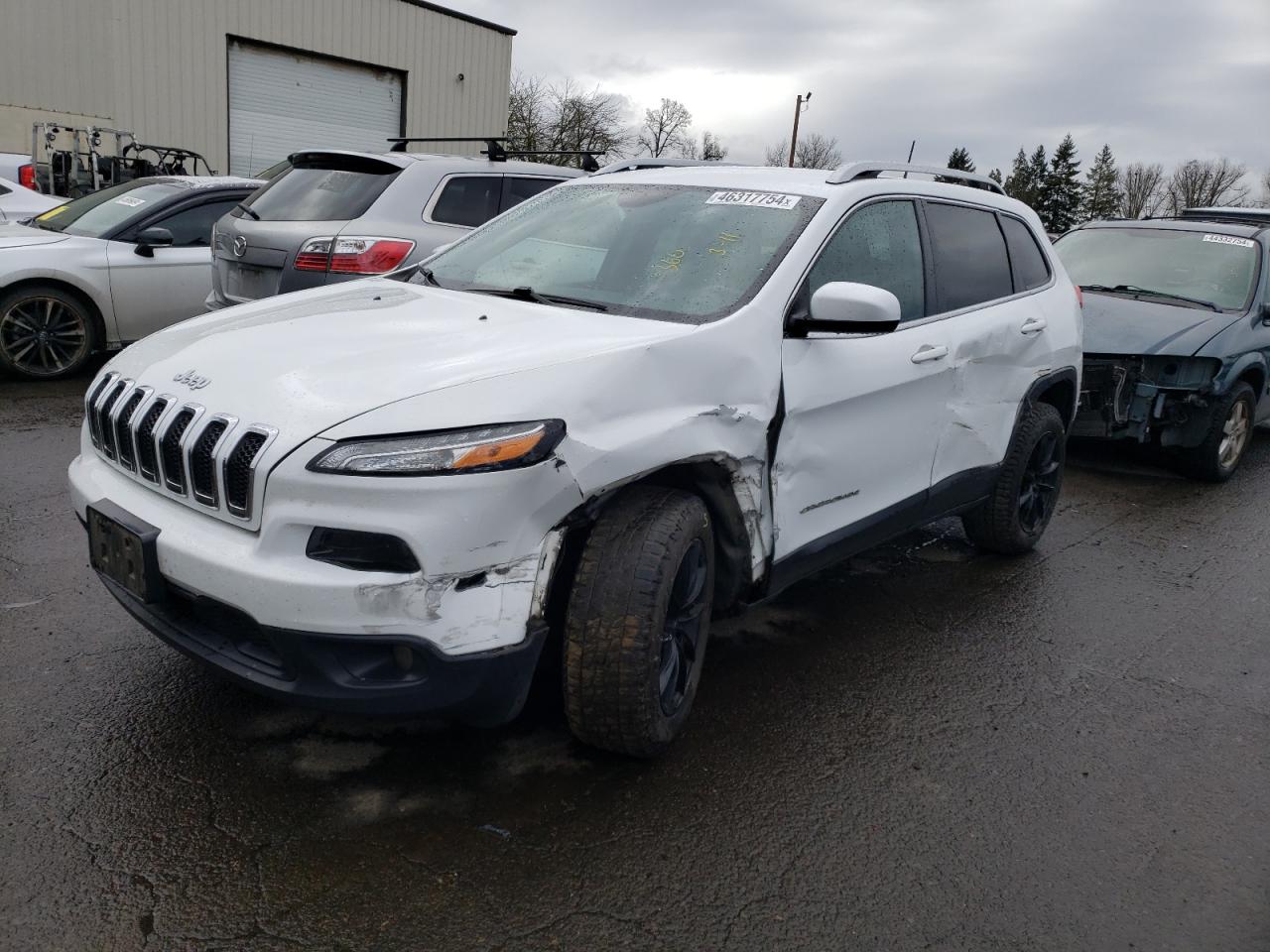 JEEP GRAND CHEROKEE 2017 1c4pjmcs9hw631645