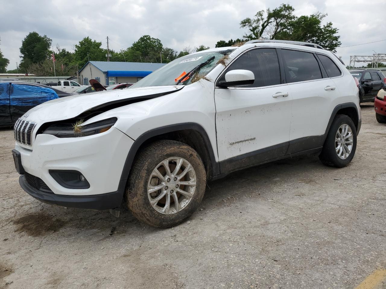 JEEP GRAND CHEROKEE 2019 1c4pjmcx5kd112414