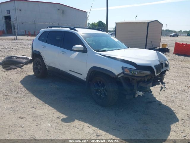 JEEP CHEROKEE 2019 1c4pjmcx7kd484076