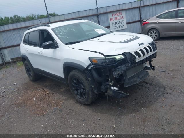 JEEP CHEROKEE 2022 1c4pjmcx8nd554611