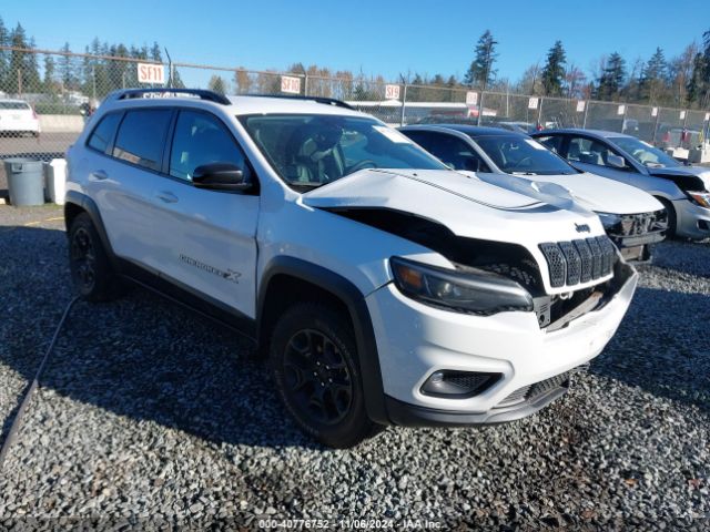 JEEP CHEROKEE 2022 1c4pjmcxxnd542671