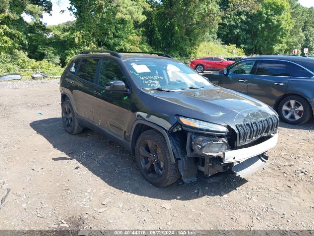 JEEP CHEROKEE 2016 1c4pjmdb7gw300785