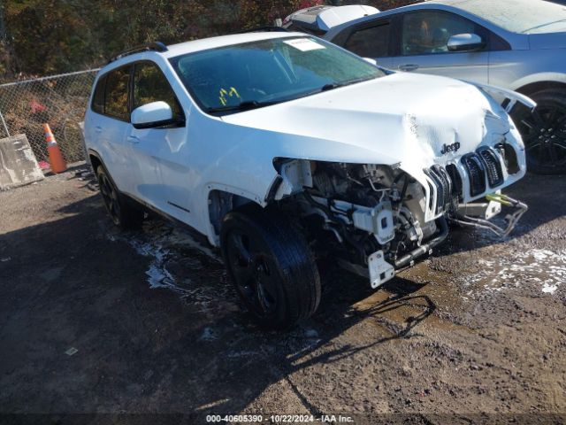 JEEP CHEROKEE 2017 1c4pjmdb9hw657211