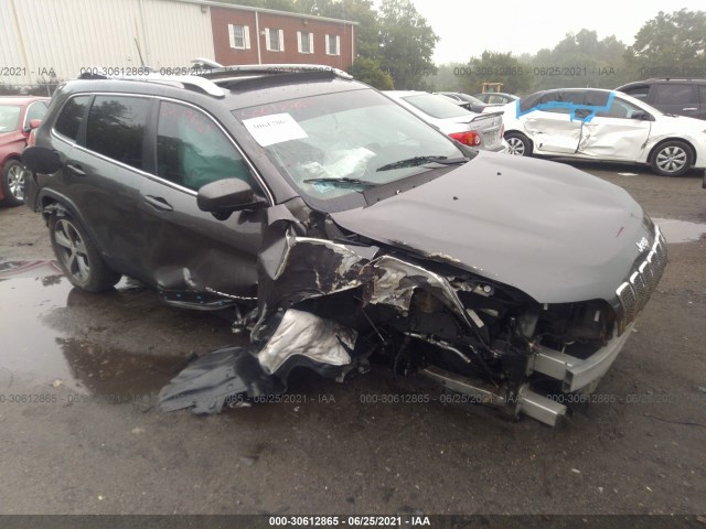 JEEP CHEROKEE 2019 1c4pjmdn0kd133894