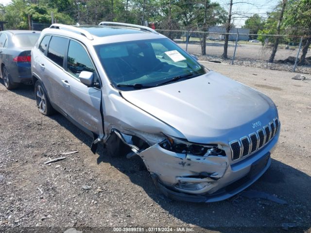 JEEP CHEROKEE 2019 1c4pjmdn0kd163199