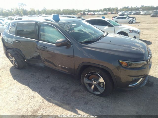 JEEP CHEROKEE 2019 1c4pjmdn0kd180472