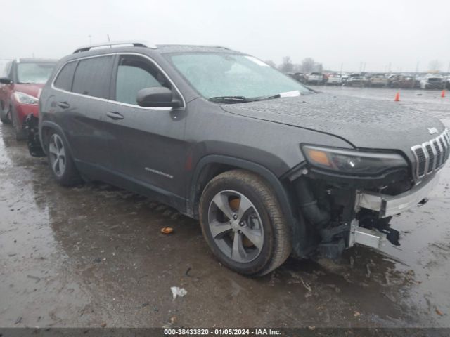 JEEP CHEROKEE 2019 1c4pjmdn0kd236569