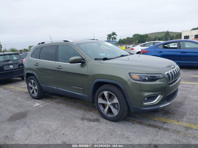 JEEP CHEROKEE 2019 1c4pjmdn0kd299462