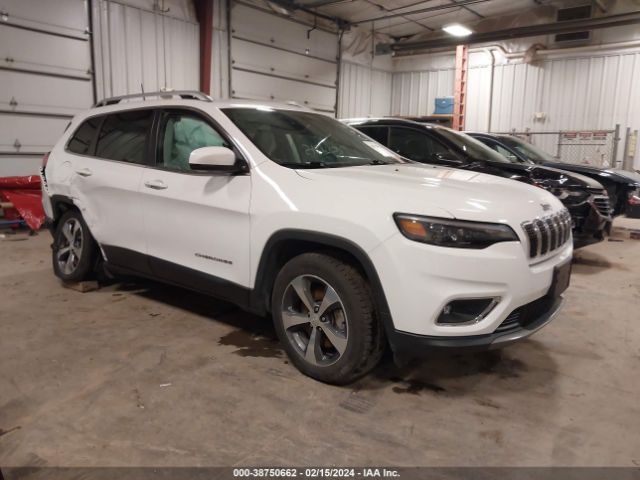 JEEP CHEROKEE 2019 1c4pjmdn1kd295050