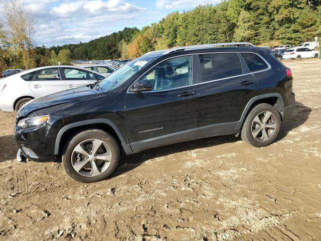 JEEP CHEROKEE L 2019 1c4pjmdn1kd490159