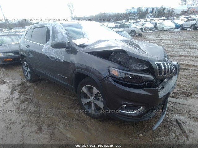 JEEP CHEROKEE 2020 1c4pjmdn1ld540608