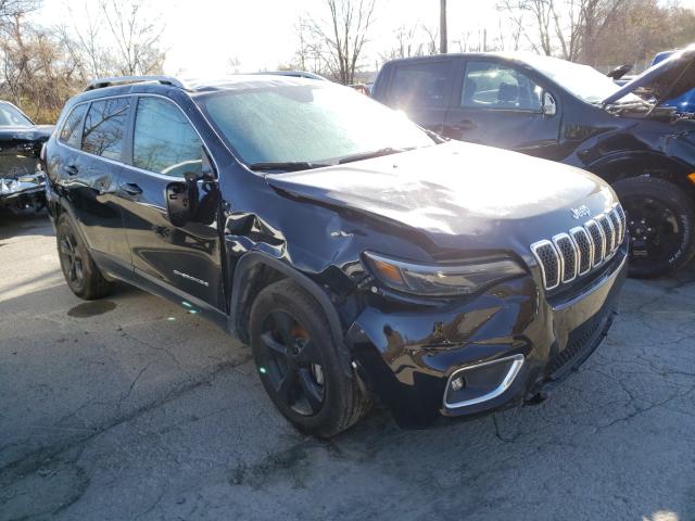 JEEP CHEROKEE 2020 1c4pjmdn1ld549616