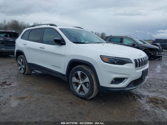 JEEP CHEROKEE 2022 1c4pjmdn1nd504016