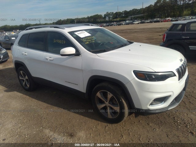 JEEP CHEROKEE 2019 1c4pjmdn2kd257777