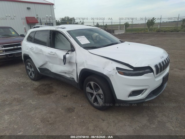 JEEP CHEROKEE 2019 1c4pjmdn2kd294327