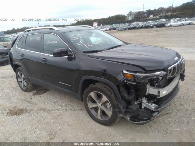 JEEP CHEROKEE 2019 1c4pjmdn2kd410805