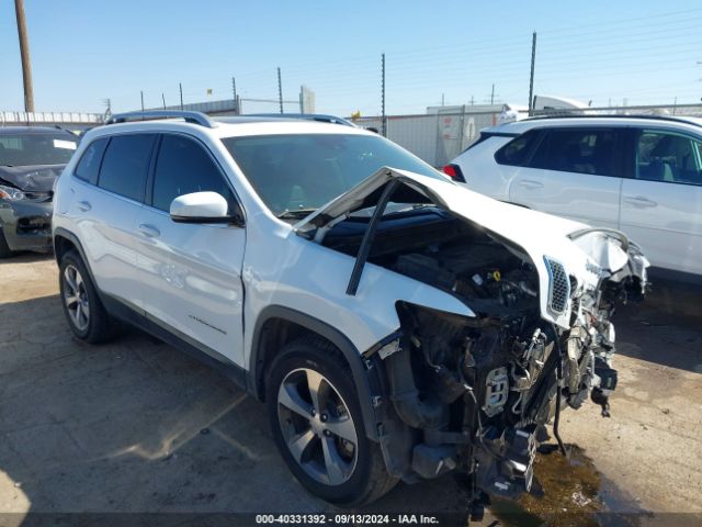 JEEP CHEROKEE 2019 1c4pjmdn3kd124073