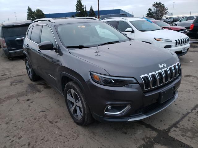 JEEP NULL 2019 1c4pjmdn3kd134229