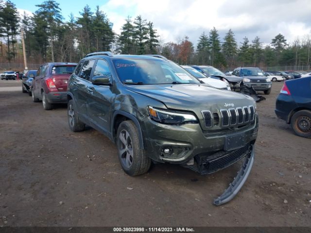 JEEP CHEROKEE 2019 1c4pjmdn3kd152097