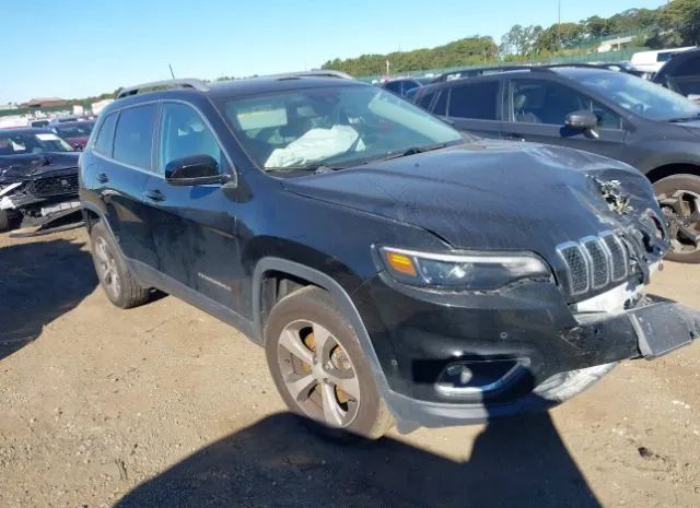 JEEP CHEROKEE 2019 1c4pjmdn3kd158434