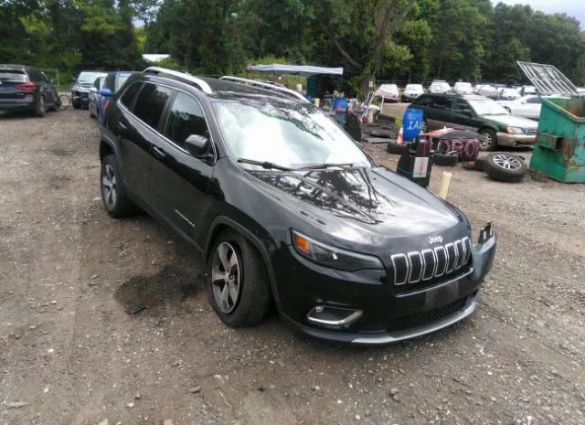 JEEP CHEROKEE 2019 1c4pjmdn3kd162368