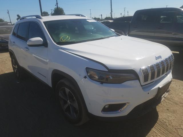 JEEP CHEROKEE 2019 1c4pjmdn3kd180580