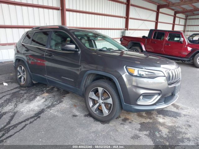 JEEP CHEROKEE 2019 1c4pjmdn3kd252166