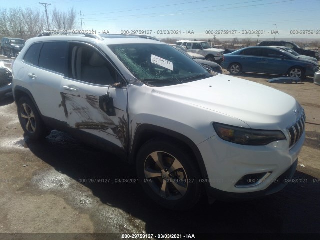 JEEP CHEROKEE 2019 1c4pjmdn3kd353899