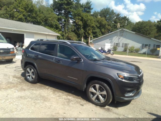 JEEP CHEROKEE 2019 1c4pjmdn4kd123773