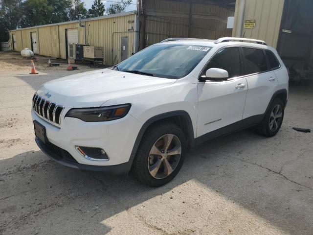 JEEP CHEROKEE L 2019 1c4pjmdn4kd174514