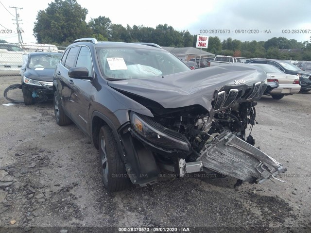 JEEP CHEROKEE 2019 1c4pjmdn4kd176893