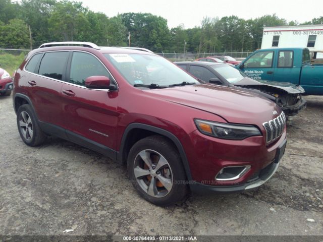 JEEP CHEROKEE 2019 1c4pjmdn5kd117626