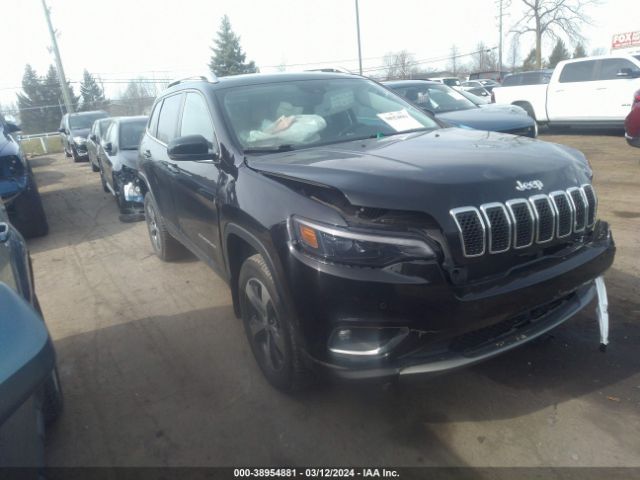 JEEP CHEROKEE 2019 1c4pjmdn5kd157463