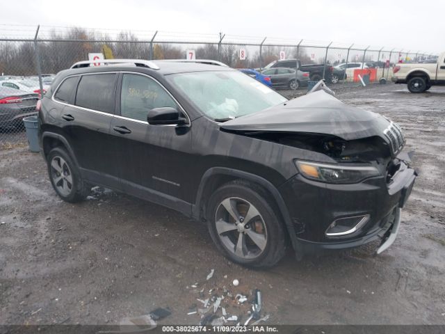 JEEP CHEROKEE 2019 1c4pjmdn6kd133849