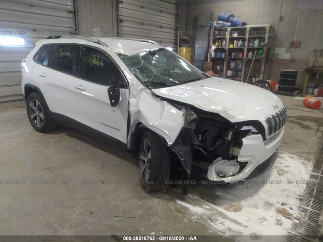 JEEP CHEROKEE 2019 1c4pjmdn6kd142504