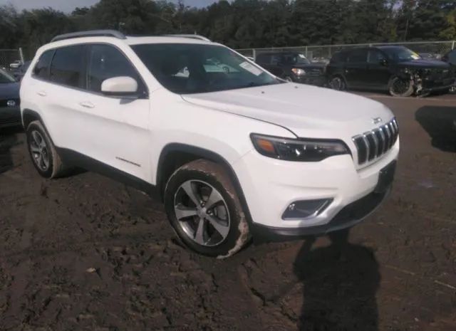 JEEP CHEROKEE 2019 1c4pjmdn6kd422567